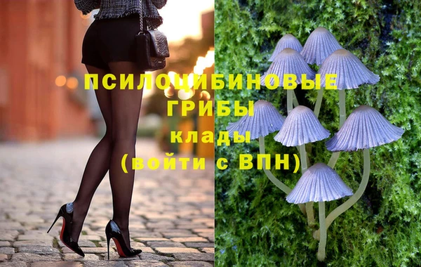 ПСИЛОЦИБИНОВЫЕ ГРИБЫ Арсеньев
