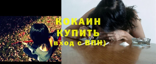 ПСИЛОЦИБИНОВЫЕ ГРИБЫ Арсеньев