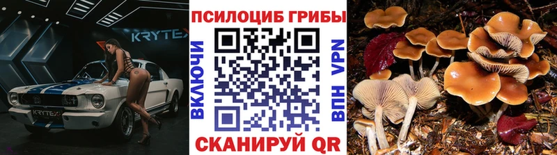 магазин наркотиков Аша Псилоцибиновые грибы мухоморы